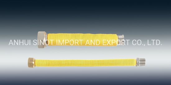 Coated Extensible Flexible Tubes for Gas