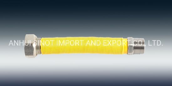 Coated Flexible Extensible AISI304/316L Pipe Used for Gas