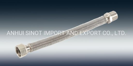 Naked Flexible Extensible AISI304/316L Gas Tube